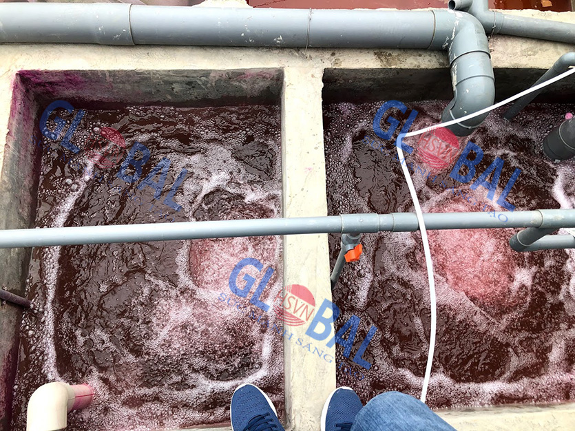 Hình ảnh nước thải công nghiệp tại nhà máy in giấy tiền