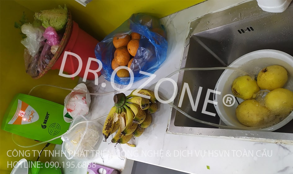 Phương pháp loại bỏ đến 99% độc tố có trên rau củ cho gia đình ăn chay tại Vĩnh Phúc