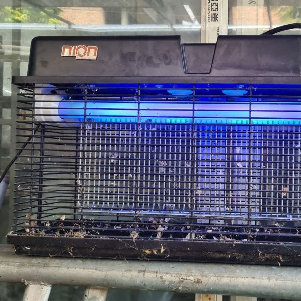 Đèn bắt muỗi côn trùng CN30 - 3