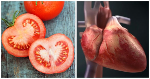 Cà chua cải thiện sức khỏe tim mạch