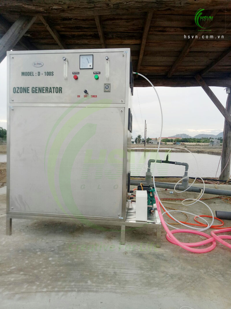 Máy ozone công nghiệp D100S xử lý nước nuôi rươi