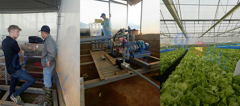 Ozone ứng dụng nuôi trồng rau sạch tại Đà Lạt