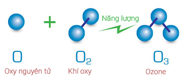 Ozone có tác dụng gì trong tự nhiên?
