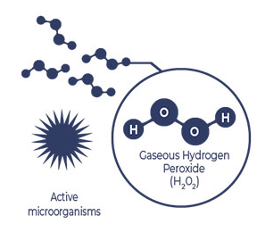 Ứng dụng Hydroxy trong làm sạch không khí