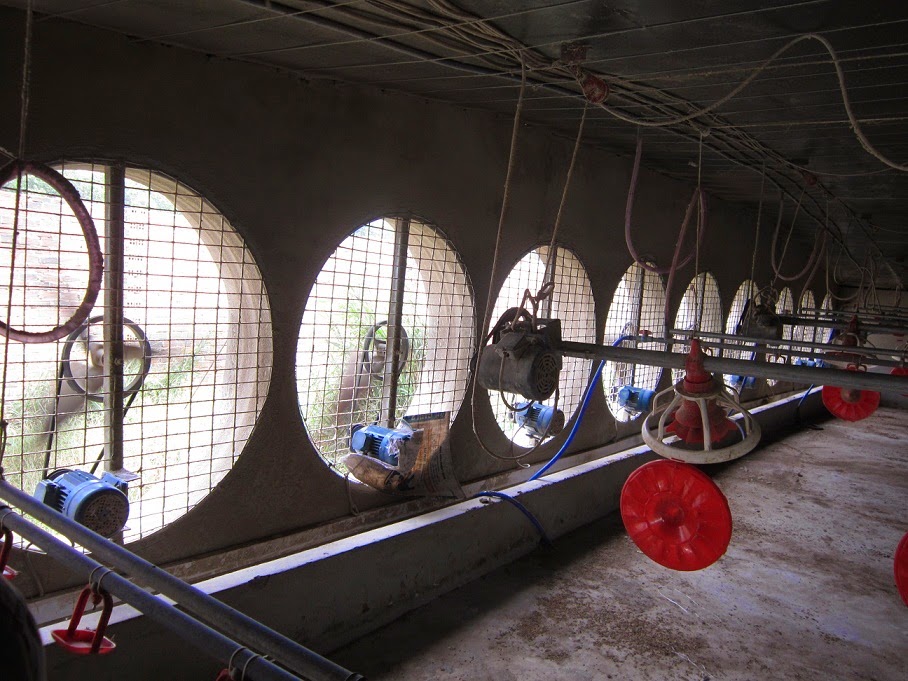 Hệ thống thông gió cho trang trại chăn nuôi