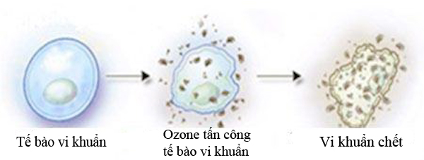 Ozone tấn công vi khuẩn virus trong không khí