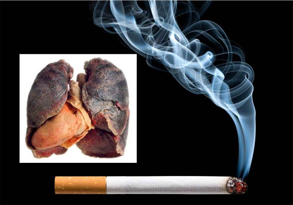 Sự độc hại của khói thuốc lá