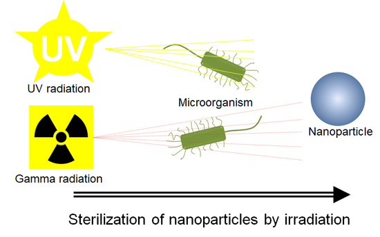 Nghiên cứu khoa học: Ảnh hưởng của quá trình khử trùng bằng tia UV và bức xạ gamma đối với các hạt nano polyme khác nhau cho các ứng dụng y sinh  (Phần 1)