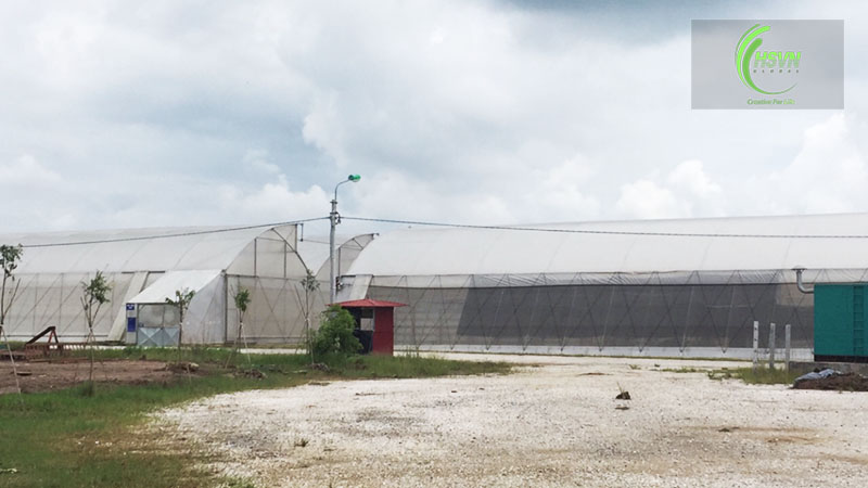 Xử lý nước nông nghiệp bằng máy ozone tại Vineco Hà Nam