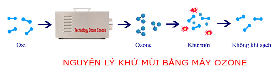 khử mùi bằng công nghệ ozone 