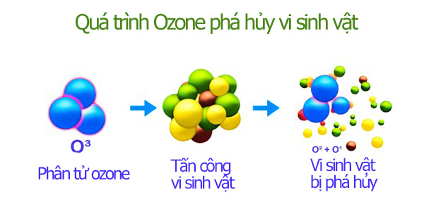 ozone phá hủy vi sinh vật gây hại