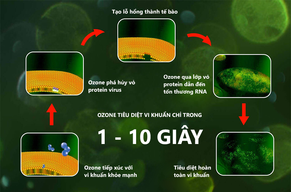 Ozone phá hủy tế bào Vi khuẩn chỉ trong 1 - 10 giây