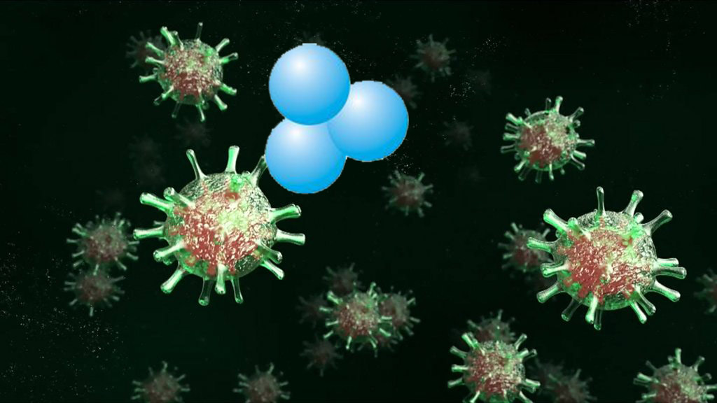 Virus corona có sống và lây qua môi trường nước không?