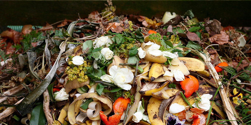 Rác thải thực phẩm có gây hại cho môi trường không?
