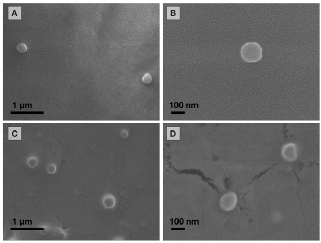 Nghiên cứu khoa học: Ảnh hưởng của quá trình khử trùng bằng tia UV và bức xạ gamma đối với các hạt nano polyme khác nhau cho các ứng dụng y sinh  (Phần 2)