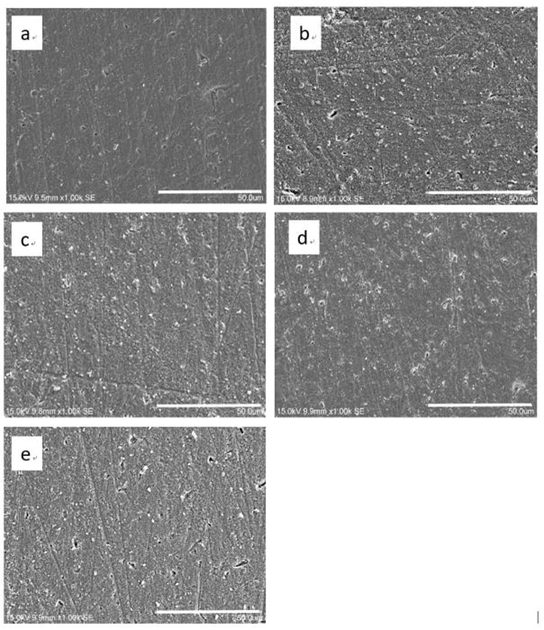 Ảnh hưởng của các phương pháp khử trùng đến đặc điểm bề mặt và sự hình thành màng sinh học trên zirconia in vitro (Phần 2)